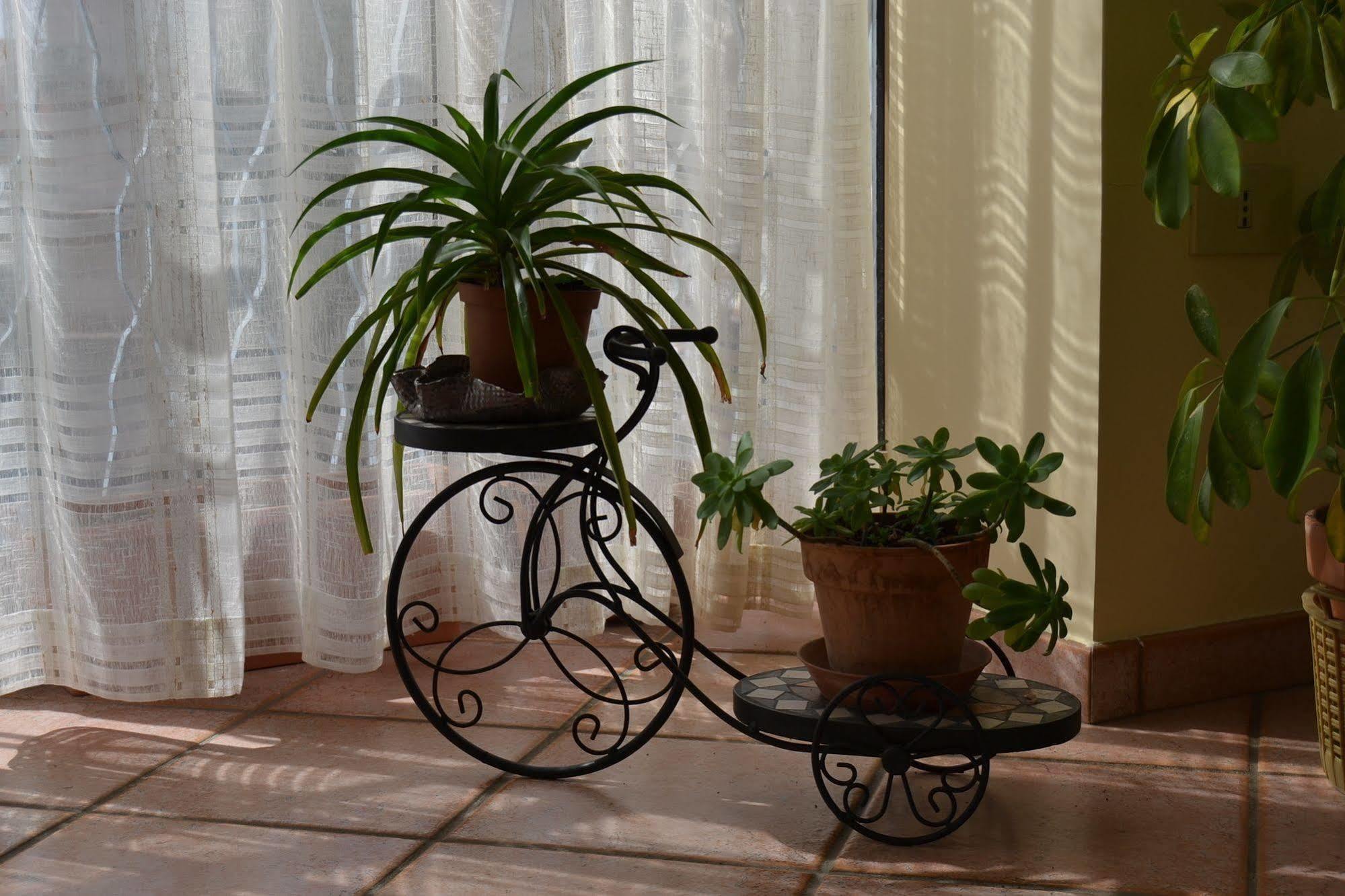 Bed & Breakfast Marena Sant'Agata Li Battiati Luaran gambar